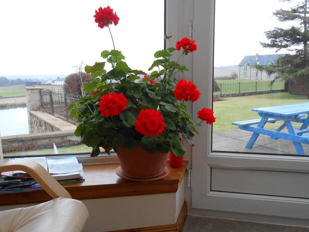 Tambowie Farm Bed & Breakfast Milngavie Exteriér fotografie